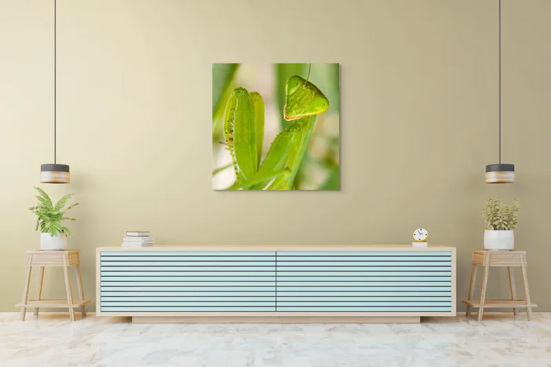 Tablou Canvas, "Răgazul mantidei în lumină verde", Mărilor, Verde, Antene, Ochi, Natură, Textură, Detalii, Transparent, Reflexii, 100 x 100 cm – poza 5