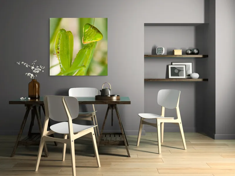 Tablou Canvas, "Răgazul mantidei în lumină verde", Mărilor, Verde, Antene, Ochi, Natură, Textură, Detalii, Transparent, Reflexii, 100 x 100 cm – poza 6