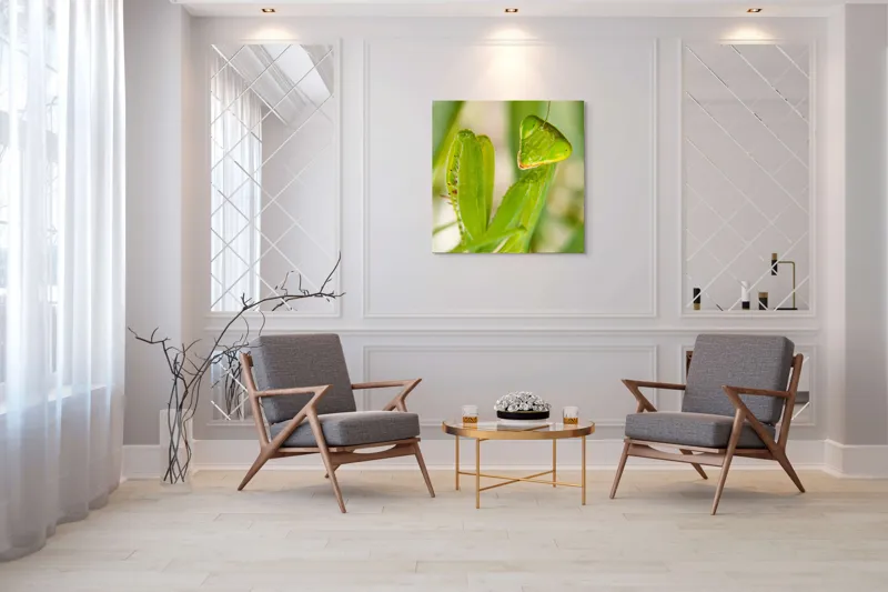 Tablou Canvas, "Răgazul mantidei în lumină verde", Mărilor, Verde, Antene, Ochi, Natură, Textură, Detalii, Transparent, Reflexii, 100 x 100 cm – poza 7