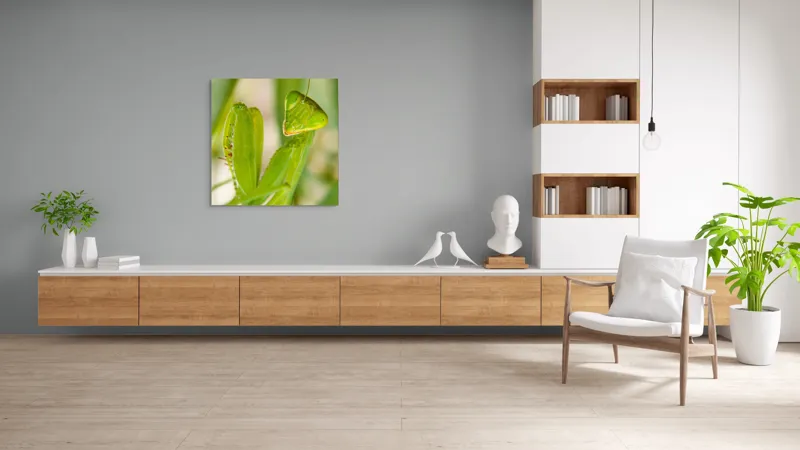 Tablou Canvas, "Răgazul mantidei în lumină verde", Mărilor, Verde, Antene, Ochi, Natură, Textură, Detalii, Transparent, Reflexii, 100 x 100 cm – poza 8