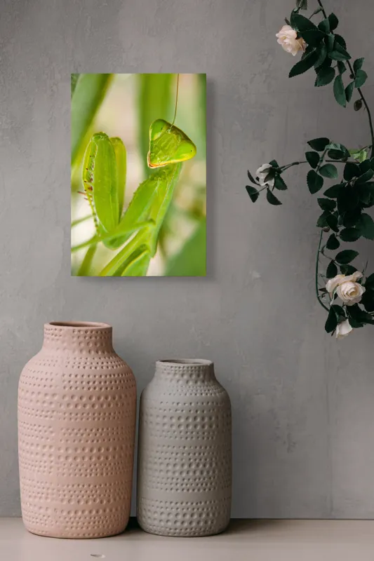 Tablou Canvas, "Răgazul mantidei în lumină verde", Mărilor, Verde, Antene, Ochi, Natură, Textură, Detalii, Transparent, Reflexii, 26 x 39 cm – poza 6