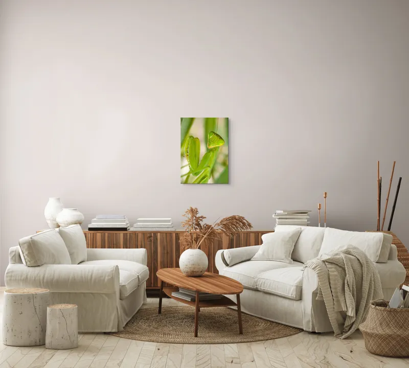 Tablou Canvas, "Răgazul mantidei în lumină verde", Mărilor, Verde, Antene, Ochi, Natură, Textură, Detalii, Transparent, Reflexii, 39 x 54 cm – poza 5