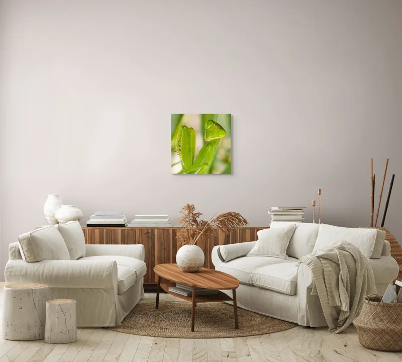 Tablou Canvas, "Răgazul mantidei în lumină verde", Mărilor, Verde, Antene, Ochi, Natură, Textură, Detalii, Transparent, Reflexii, 50 x 50 cm – poza 7