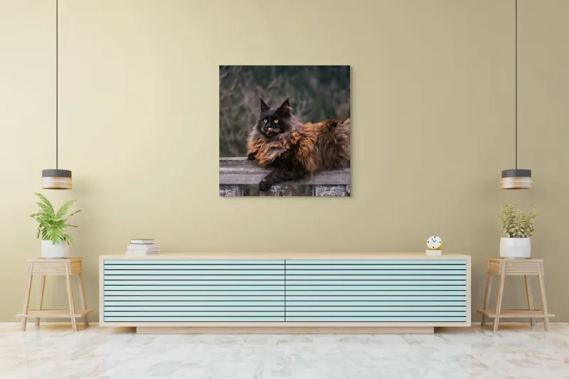 Tablou Canvas, "Pisica regală pe balustradă antică", Pisică, Blană, Regală, Privire, Peisaj, Pază, Balustradă, Vârful Muntelui, 100 x 100 cm – poza 5