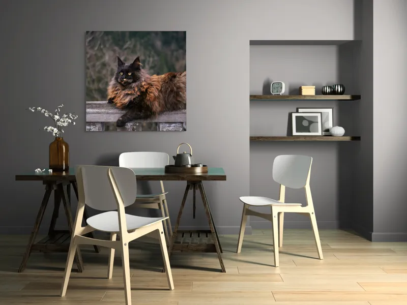 Tablou Canvas, "Pisica regală pe balustradă antică", Pisică, Blană, Regală, Privire, Peisaj, Pază, Balustradă, Vârful Muntelui, 100 x 100 cm – poza 6