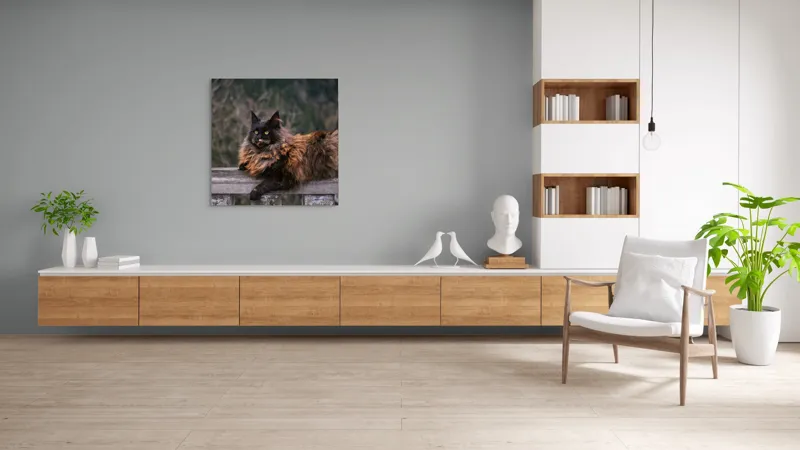Tablou Canvas, "Pisica regală pe balustradă antică", Pisică, Blană, Regală, Privire, Peisaj, Pază, Balustradă, Vârful Muntelui, 100 x 100 cm – poza 8