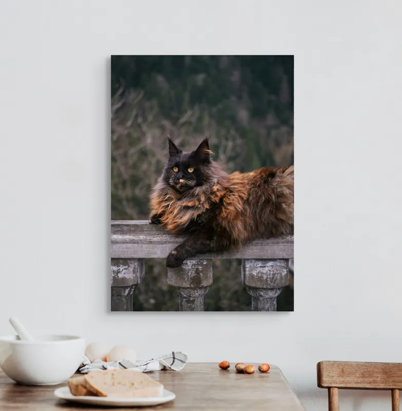 Tablou Canvas, "Pisica regală pe balustradă antică", Pisică, Blană, Regală, Privire, Peisaj, Pază, Balustradă, Vârful Muntelui, 50 x 70 cm – poza 3