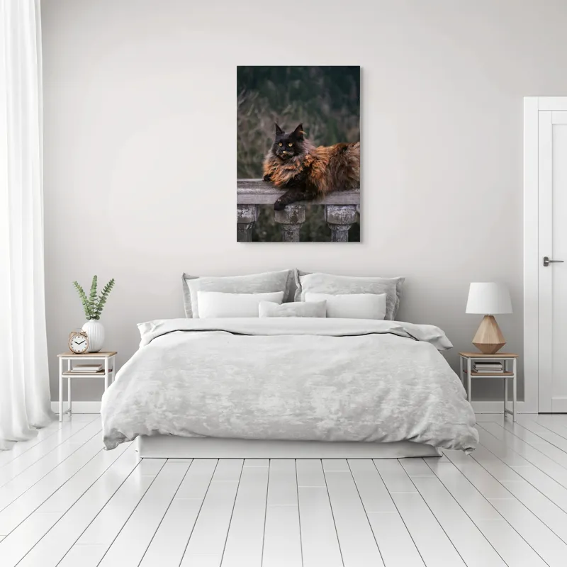 Tablou Canvas, "Pisica regală pe balustradă antică", Pisică, Blană, Regală, Privire, Peisaj, Pază, Balustradă, Vârful Muntelui, 70 x 100 cm – poza 3