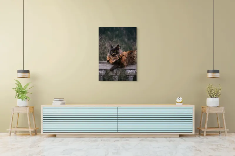 Tablou Canvas, "Pisica regală pe balustradă antică", Pisică, Blană, Regală, Privire, Peisaj, Pază, Balustradă, Vârful Muntelui, 70 x 100 cm – poza 5