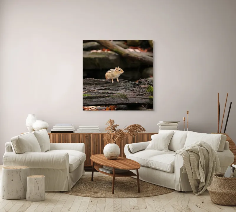 Tablou Canvas, "Veverița pe trunchiul muschiului verde", Chipmunk, Driftwood, Autumn, Moss, Forest, Alert, Nature, Woodland, Wilderness, Camouflage, 100 x 100 cm – poza 3