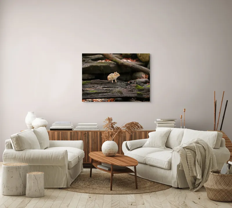 Tablou Canvas, "Veverița pe trunchiul muschiului verde", Chipmunk, Driftwood, Autumn, Moss, Forest, Alert, Nature, Woodland, Wilderness, Camouflage, 100 x 70 cm – poza 3