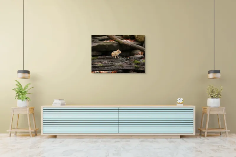 Tablou Canvas, "Veverița pe trunchiul muschiului verde", Chipmunk, Driftwood, Autumn, Moss, Forest, Alert, Nature, Woodland, Wilderness, Camouflage, 100 x 70 cm – poza 4
