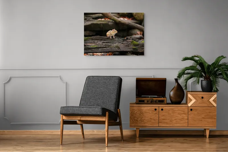 Tablou Canvas, "Veverița pe trunchiul muschiului verde", Chipmunk, Driftwood, Autumn, Moss, Forest, Alert, Nature, Woodland, Wilderness, Camouflage, 100 x 70 cm – poza 8