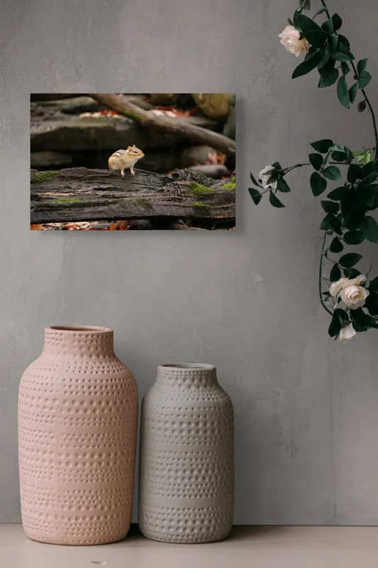 Tablou Canvas, "Veverița pe trunchiul muschiului verde", Chipmunk, Driftwood, Autumn, Moss, Forest, Alert, Nature, Woodland, Wilderness, Camouflage, 39 x 26 cm – poza 4