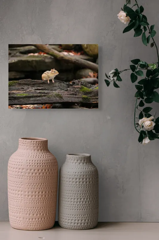 Tablou Canvas, "Veverița pe trunchiul muschiului verde", Chipmunk, Driftwood, Autumn, Moss, Forest, Alert, Nature, Woodland, Wilderness, Camouflage, 54 x 39 cm – poza 8