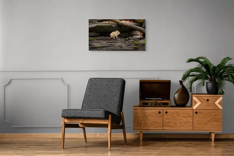 Tablou Canvas, "Veverița pe trunchiul muschiului verde", Chipmunk, Driftwood, Autumn, Moss, Forest, Alert, Nature, Woodland, Wilderness, Camouflage, 90 x 50 cm – poza 6
