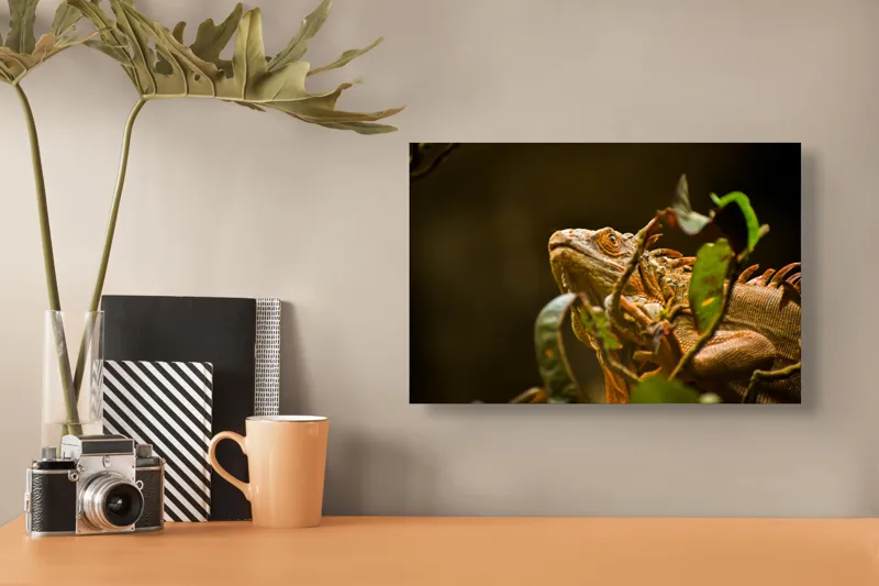 Tablou Canvas, "Iguana printre frunze verzi și uscate", Iguana, Frunziș, Reptilă, Natură, Verde, Ochi, Solzi, Ramură, 39 x 26 cm – poza 3