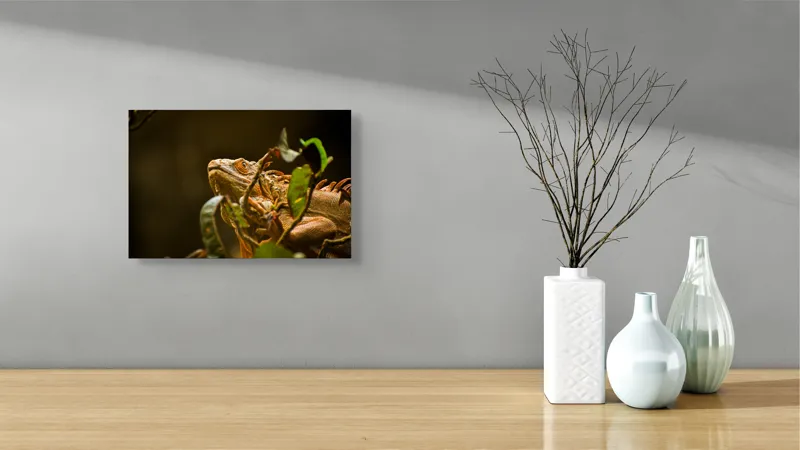 Tablou Canvas, "Iguana printre frunze verzi și uscate", Iguana, Frunziș, Reptilă, Natură, Verde, Ochi, Solzi, Ramură, 39 x 26 cm – poza 8