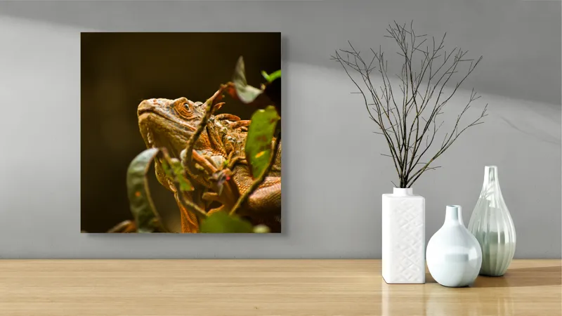 Tablou Canvas, "Iguana printre frunze verzi și uscate", Iguana, Frunziș, Reptilă, Natură, Verde, Ochi, Solzi, Ramură, 50 x 50 cm – poza 3
