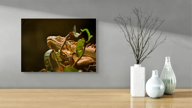 Tablou Canvas, "Iguana printre frunze verzi și uscate", Iguana, Frunziș, Reptilă, Natură, Verde, Ochi, Solzi, Ramură, 54 x 39 cm – poza 3