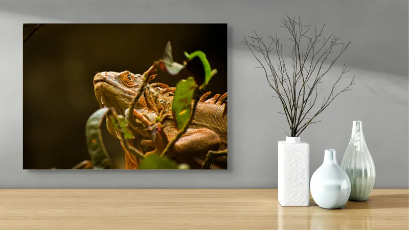 Tablou Canvas, "Iguana printre frunze verzi și uscate", Iguana, Frunziș, Reptilă, Natură, Verde, Ochi, Solzi, Ramură, 70 x 50 cm – poza 3