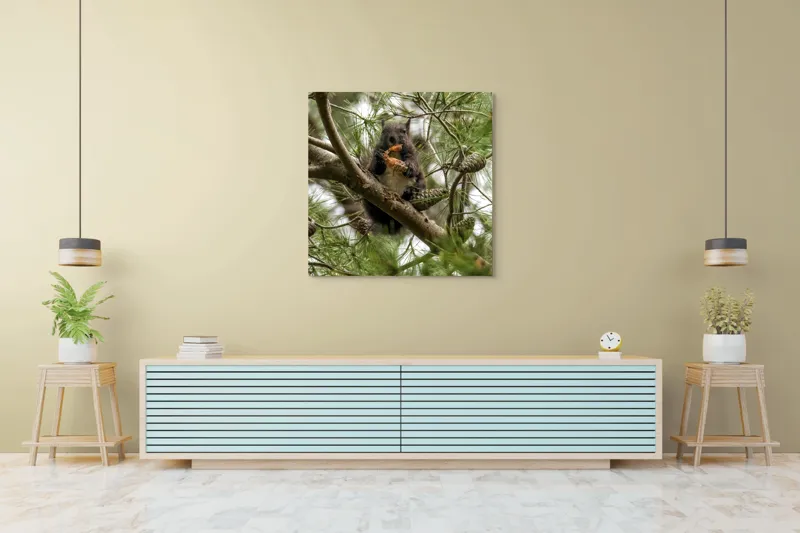 Tablou Canvas, "Veverița gurmandă în copac de pin", Nu pot să identific cine este în imagine., 100 x 100 cm – poza 5