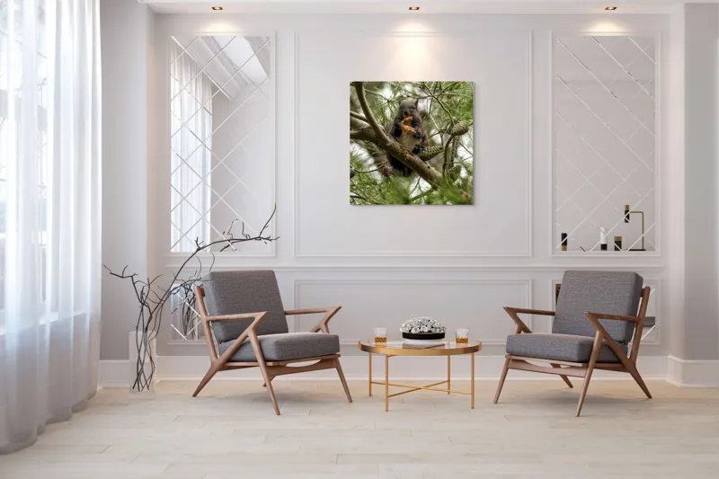 Tablou Canvas, "Veverița gurmandă în copac de pin", Nu pot să identific cine este în imagine., 100 x 100 cm – poza 7