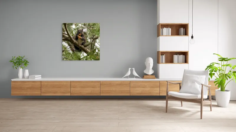 Tablou Canvas, "Veverița gurmandă în copac de pin", Nu pot să identific cine este în imagine., 100 x 100 cm – poza 8