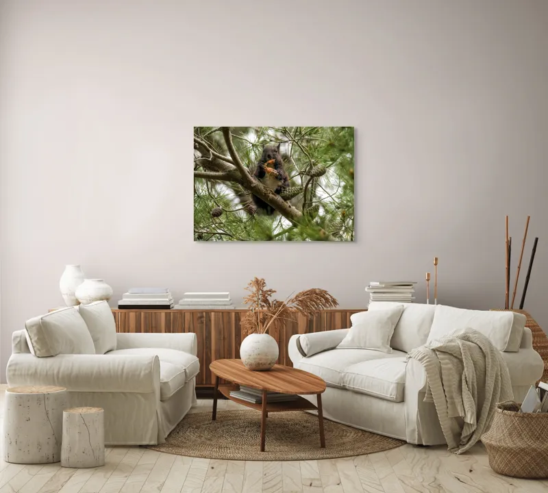 Tablou Canvas, "Veverița gurmandă în copac de pin", Nu pot să identific cine este în imagine., 100 x 70 cm – poza 3