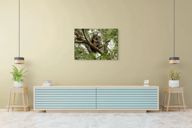Tablou Canvas, "Veverița gurmandă în copac de pin", Nu pot să identific cine este în imagine., 100 x 70 cm – poza 4
