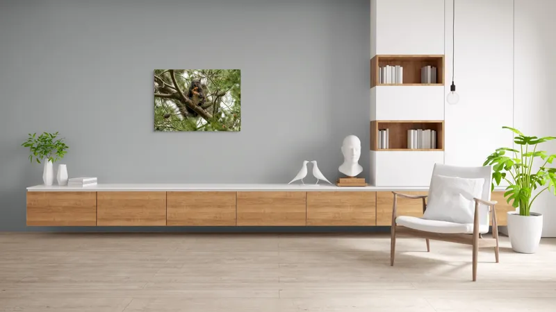 Tablou Canvas, "Veverița gurmandă în copac de pin", Nu pot să identific cine este în imagine., 100 x 70 cm – poza 6