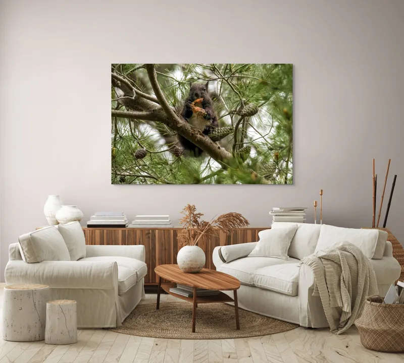 Tablou Canvas, "Veverița gurmandă în copac de pin", Nu pot să identific cine este în imagine., 150 x 100 cm – poza 3