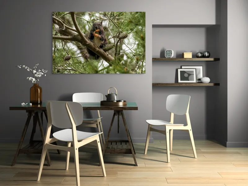 Tablou Canvas, "Veverița gurmandă în copac de pin", Nu pot să identific cine este în imagine., 150 x 100 cm – poza 5