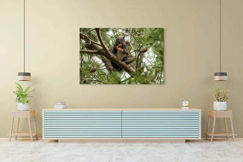 Tablou Canvas, "Veverița gurmandă în copac de pin", Nu pot să identific cine este în imagine., 150 x 100 cm – poza 6