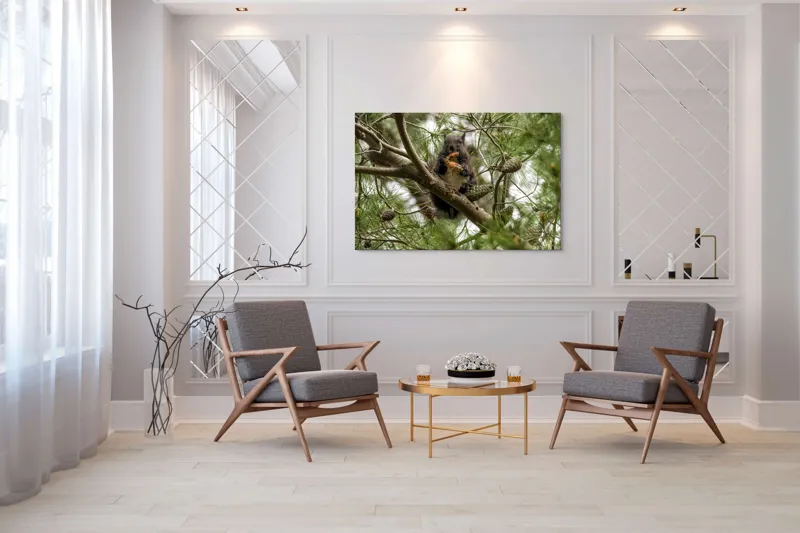 Tablou Canvas, "Veverița gurmandă în copac de pin", Nu pot să identific cine este în imagine., 150 x 100 cm – poza 7