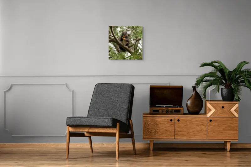 Tablou Canvas, "Veverița gurmandă în copac de pin", Nu pot să identific cine este în imagine., 50 x 50 cm – poza 6