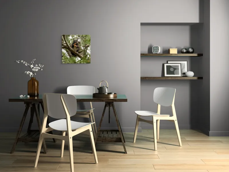 Tablou Canvas, "Veverița gurmandă în copac de pin", Nu pot să identific cine este în imagine., 50 x 50 cm – poza 8