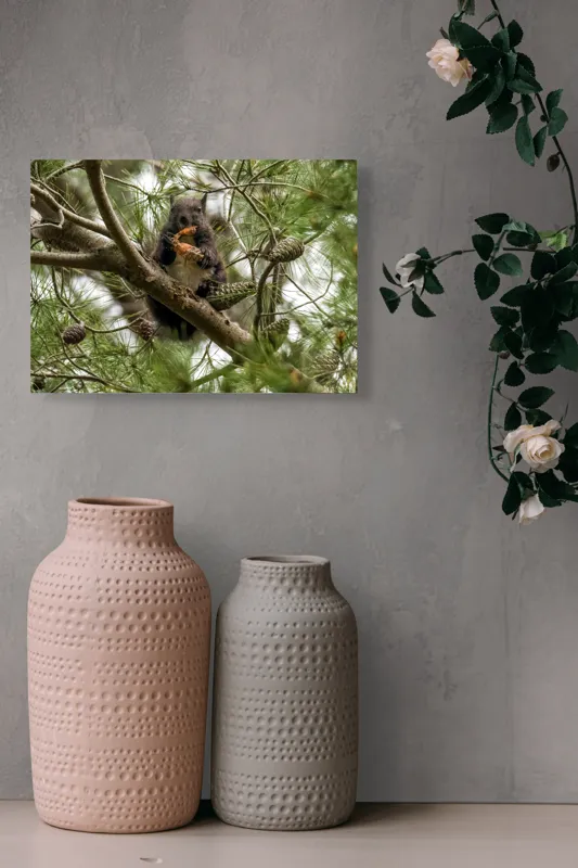 Tablou Canvas, "Veverița gurmandă în copac de pin", Nu pot să identific cine este în imagine., 54 x 39 cm – poza 8