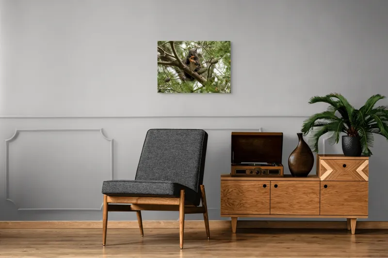 Tablou Canvas, "Veverița gurmandă în copac de pin", Nu pot să identific cine este în imagine., 70 x 50 cm – poza 4