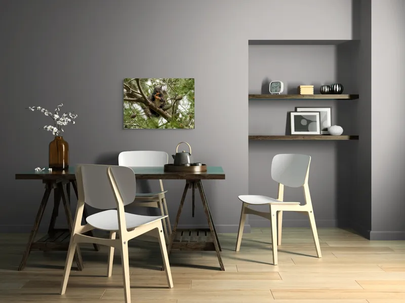 Tablou Canvas, "Veverița gurmandă în copac de pin", Nu pot să identific cine este în imagine., 70 x 50 cm – poza 5