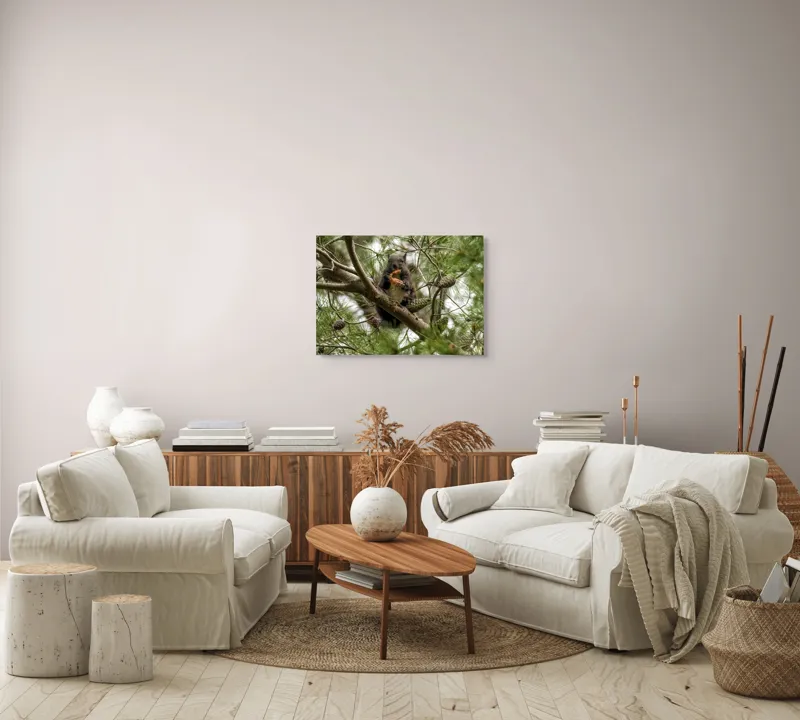 Tablou Canvas, "Veverița gurmandă în copac de pin", Nu pot să identific cine este în imagine., 70 x 50 cm – poza 6