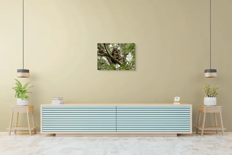 Tablou Canvas, "Veverița gurmandă în copac de pin", Nu pot să identific cine este în imagine., 70 x 50 cm – poza 7