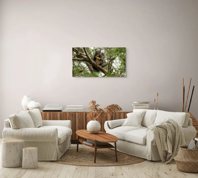 Tablou Canvas, "Veverița gurmandă în copac de pin", Nu pot să identific cine este în imagine., 90 x 50 cm – poza 4