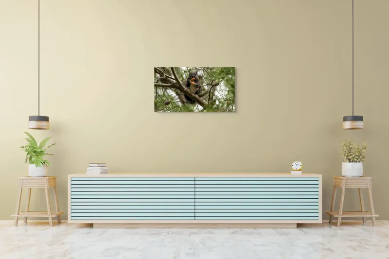 Tablou Canvas, "Veverița gurmandă în copac de pin", Nu pot să identific cine este în imagine., 90 x 50 cm – poza 5
