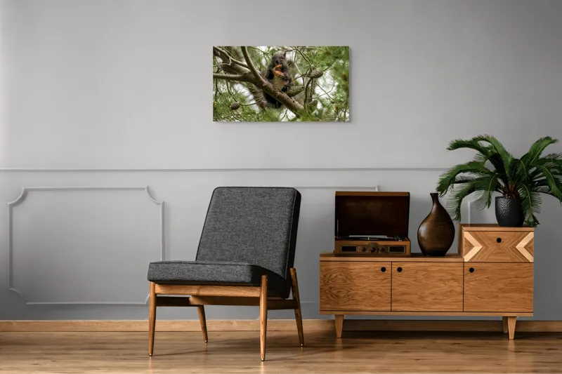 Tablou Canvas, "Veverița gurmandă în copac de pin", Nu pot să identific cine este în imagine., 90 x 50 cm – poza 6