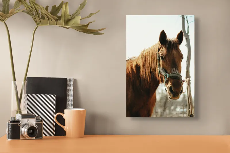 Tablou Canvas, "Calul viselor sub cer senin", Iată câteva cuvinte care descriu imaginea: Cal, Maro, Harnașament, Blană, Cer, Arbore, Natură, 26 x 39 cm – poza 3