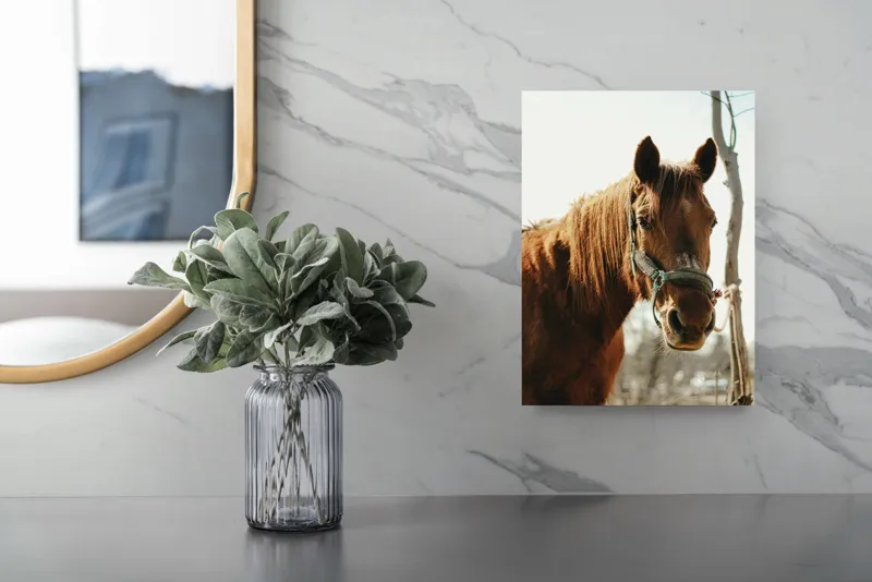 Tablou Canvas, "Calul viselor sub cer senin", Iată câteva cuvinte care descriu imaginea: Cal, Maro, Harnașament, Blană, Cer, Arbore, Natură, 26 x 39 cm – poza 4