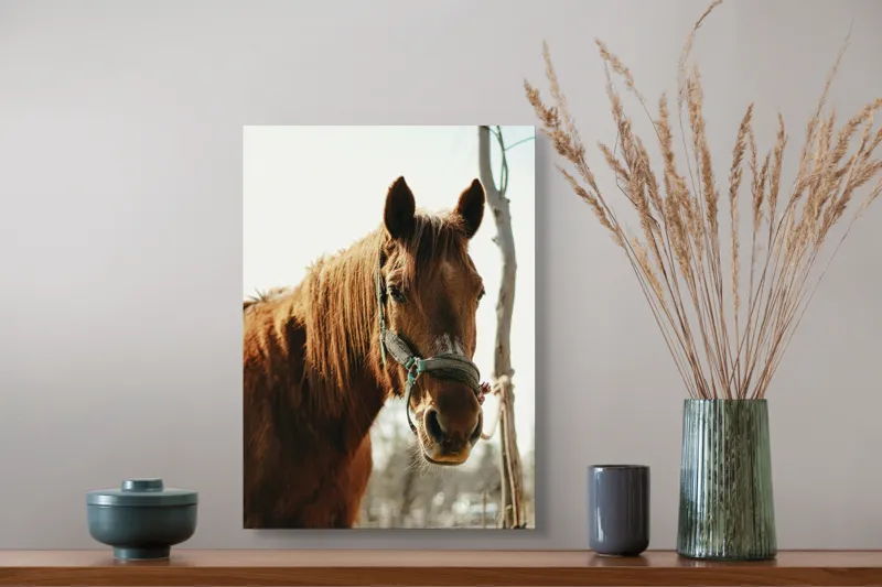 Tablou Canvas, "Calul viselor sub cer senin", Iată câteva cuvinte care descriu imaginea: Cal, Maro, Harnașament, Blană, Cer, Arbore, Natură, 39 x 54 cm – poza 3