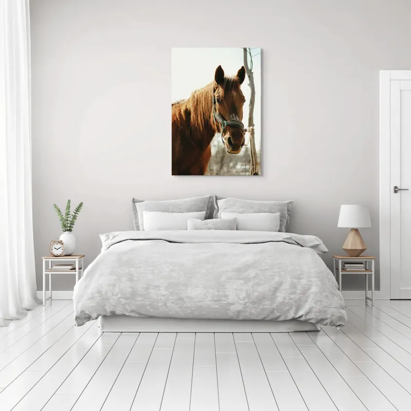 Tablou Canvas, "Calul viselor sub cer senin", Iată câteva cuvinte care descriu imaginea: Cal, Maro, Harnașament, Blană, Cer, Arbore, Natură, 70 x 100 cm – poza 3