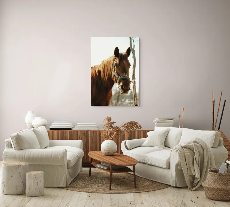 Tablou Canvas, "Calul viselor sub cer senin", Iată câteva cuvinte care descriu imaginea: Cal, Maro, Harnașament, Blană, Cer, Arbore, Natură, 70 x 100 cm – poza 4